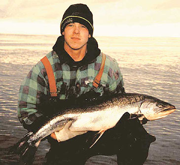 Record photograph for Salvelinus malma